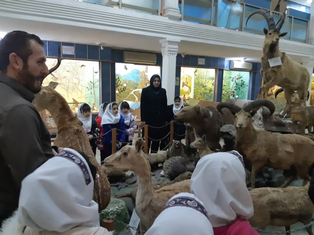 بازدید دانش آموزان پیش دبستان و پایه های اول و دوم از موزه جانورشناسی محیط زیست گیلان